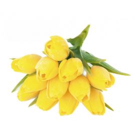 Tulipán s listem (6 ks) - žlutá
