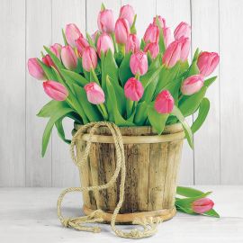 Ubrousky - Tulipánky