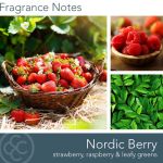Vonná svíčka ve skle - Nordic Berry - 411g