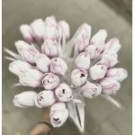 Tulipán s bílým listem (6 ks) - fialovorůžová s bílou špičkou
