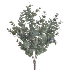 Eukalyptus trs - zelenošedá