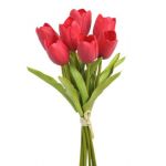 Tulipán pěnový (7 ks) - červená