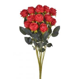 Růže 5 cm x 54 cm (12 ks) - červená