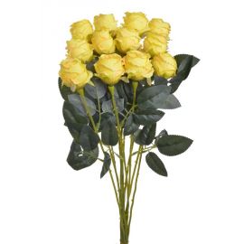 Růže 5 cm x 54 cm (12 ks) - žlutá