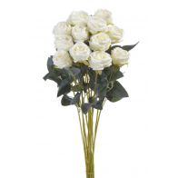 Růže 5 cm x 54 cm (12 ks) - sv. zelená - krém