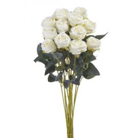 Růže 5 cm x 54 cm (12 ks) - sv. zelená - krém