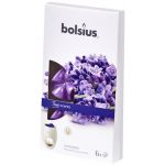 Aromatické vosky Bolsius True scents LAVENDER