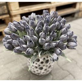 Tulipán s listem (6 ks) - ostružinová
