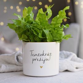 Květináč - Tentokrát přežiju