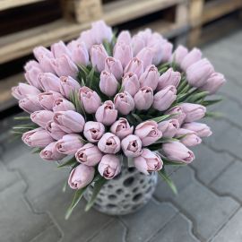 Tulipán s listem (6 ks) - baby růžová