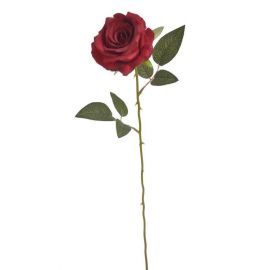 Růže na dlouhém stonku - červená