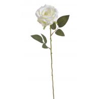 Růže na dlouhém stonku - krémová