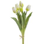 Svazek tulipánů - bílozelená