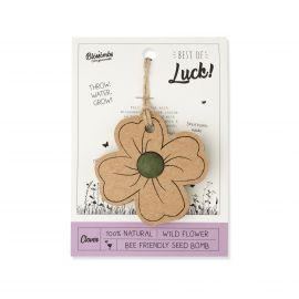 Blossombs  - Dárková karta s rostlinnou “bombou” - Best of luck