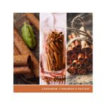 YANKEE CANDLE CINNAMON STICK SIGNATURE TUMBLER VELKÝ