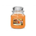 VONNÁ SVÍČKA YANKEE CANDLE FARM FRESH PEACH