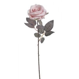 Růže velvet - světlá růžová