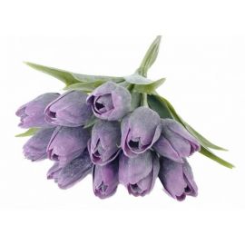 Tulipán s listem (6 ks) - fialová