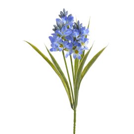 Hyacint - modrý