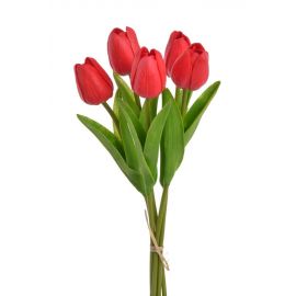 Tulipán pěnový (5 ks) - červená