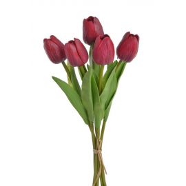 Tulipán pěnový (5 ks) - tmavě červená