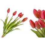 Kytice červených tulipánů
