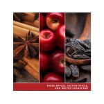 YANKEE CANDLE BIG APPLE CHRISTMAS SIGNATURE TUMBLER VELKÝ