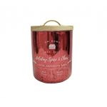 Holiday Spice & Cheer Vonná svíčka ve skle, 244 g