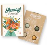 Blossombs Semínkové bomby - Dárková sada mini - Party (4 ks)