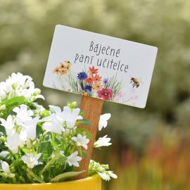 Zápich Barevná louka - Báječné paní učitelce