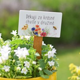 Zápich Barevná louka - Děkuji za krásné chvíle v družině.