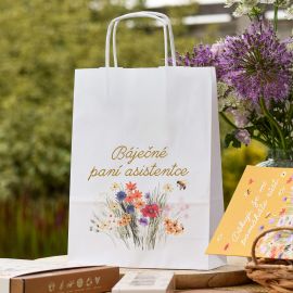 Dárková papírová taška - Báječné paní asistentce