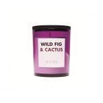 Fig & Cactus Vonná svíčka, 125 g