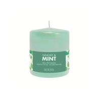 Ginger & Mint Vonná svíčka, 250 g