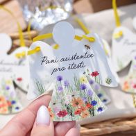 Andílek Barevná louka - Paní asistentce