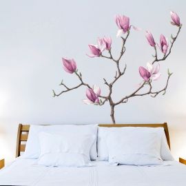 Magnolia